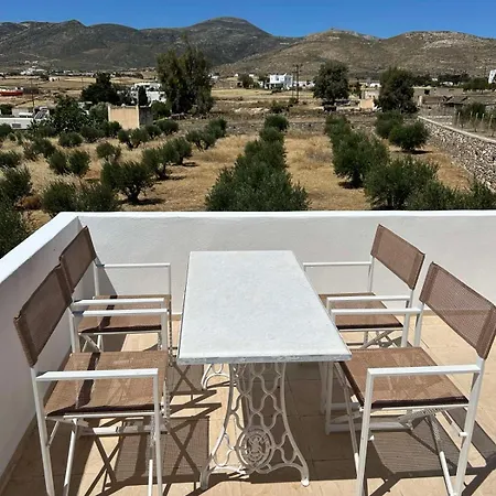 Landsted Olive House *