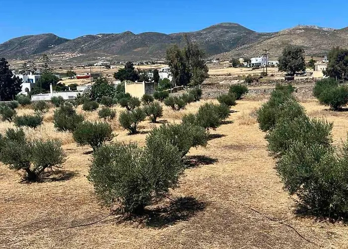 Olive House Casa di campagna