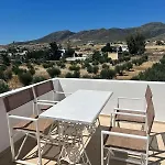 Olive House